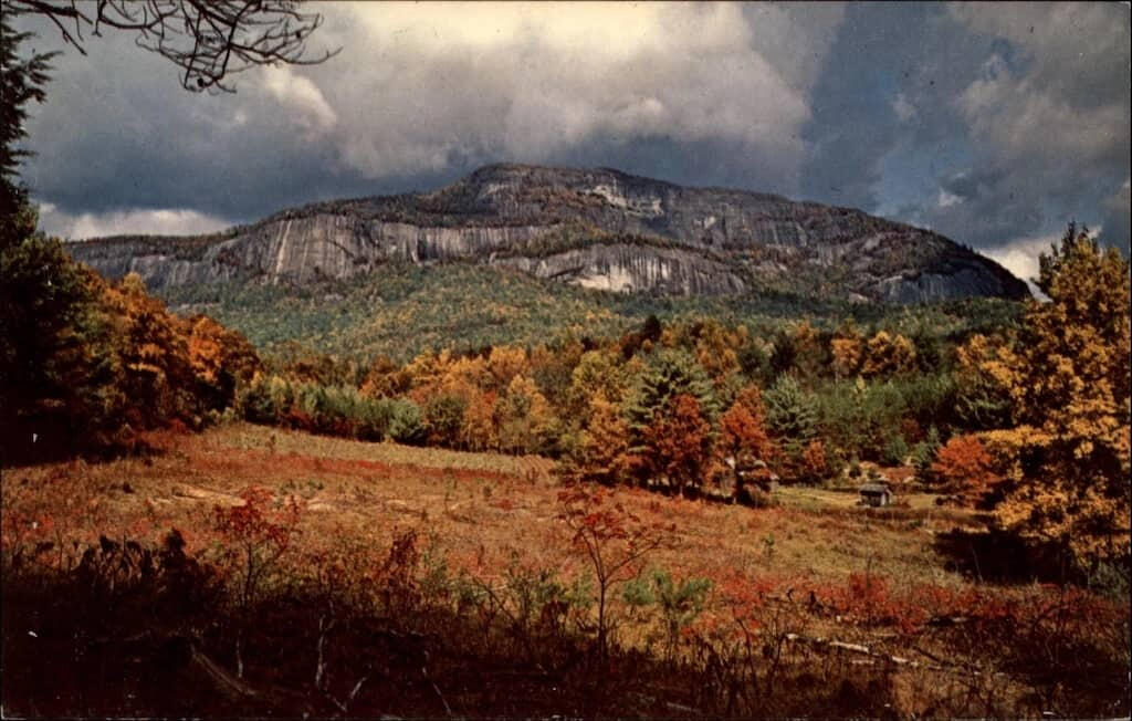 not happy, useful not happy, useful